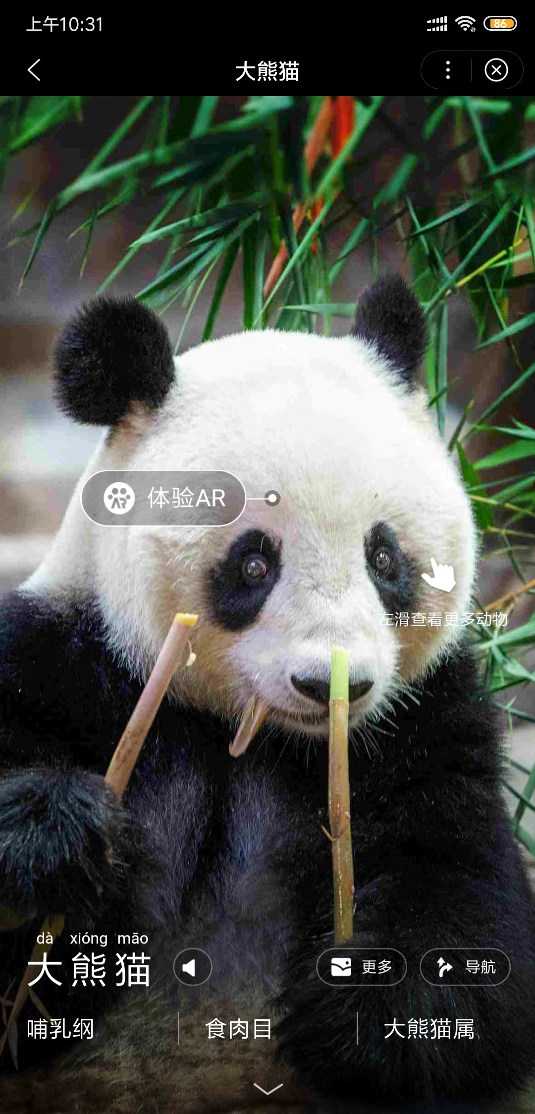 长隆动物园-娱乐-百度小程序