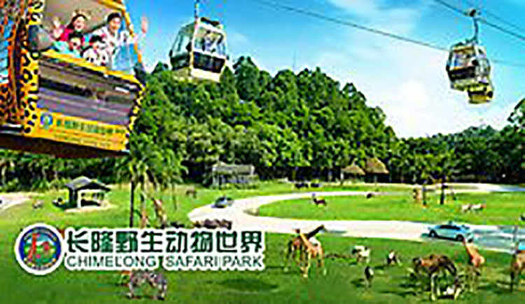 长隆动物园-娱乐-百度小程序