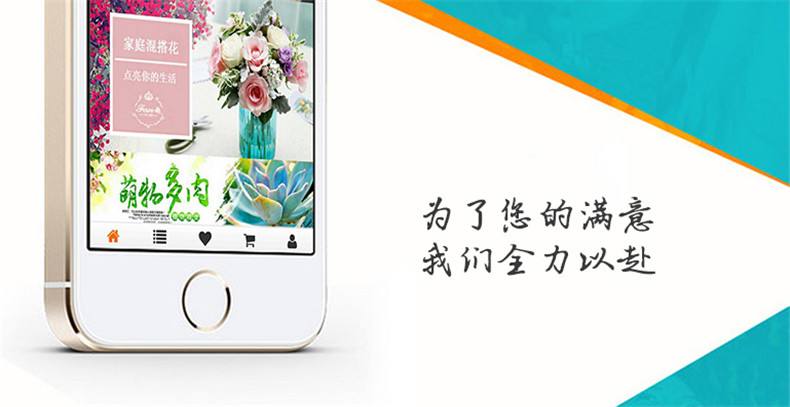 万创网小程序制作